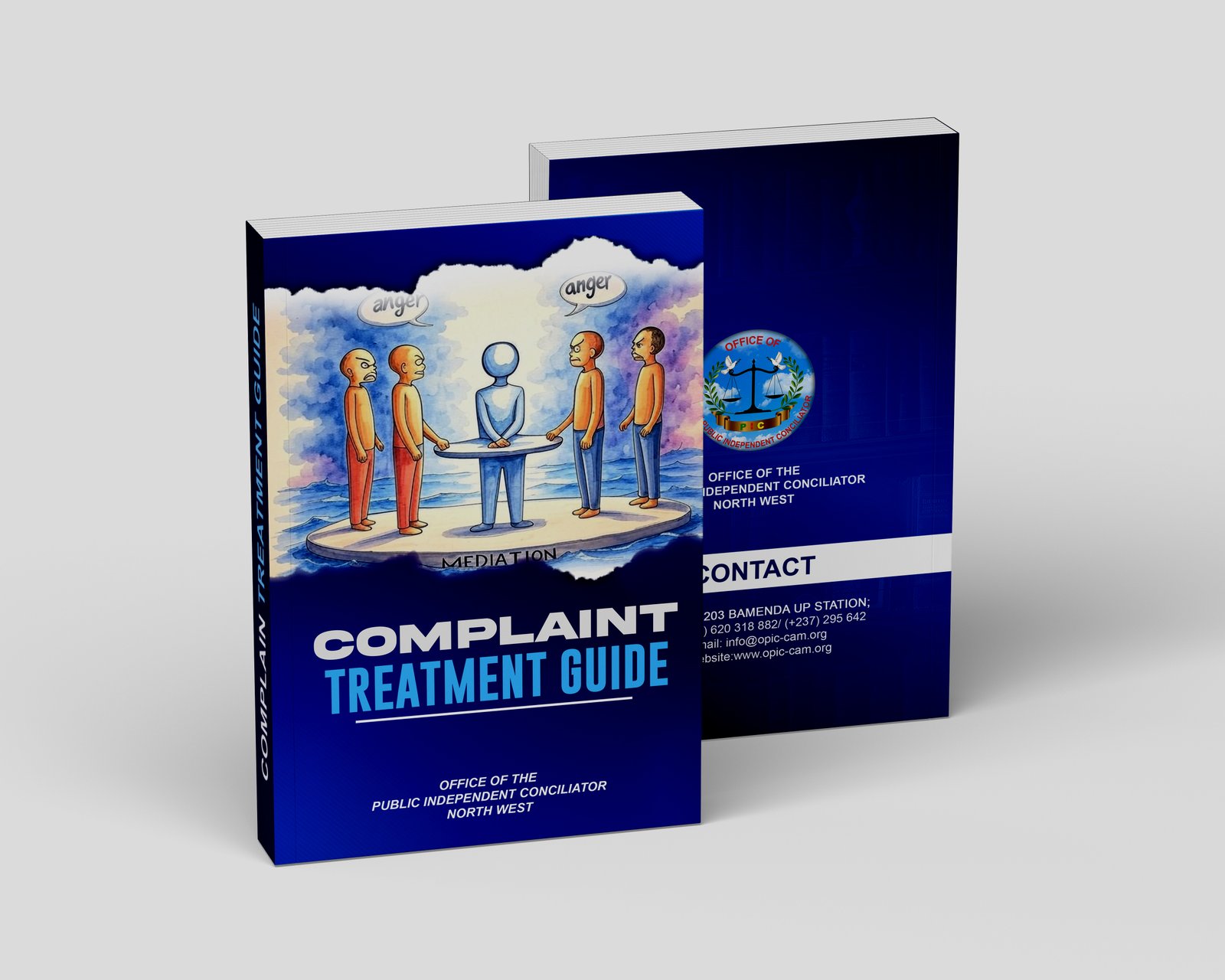 Publication design 2